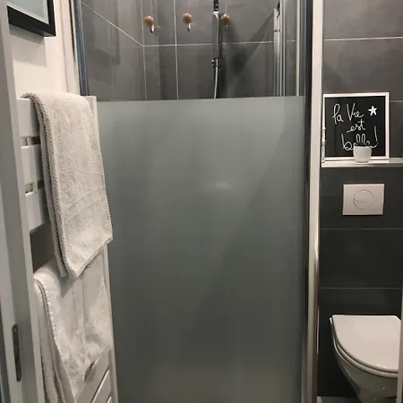 A 100 Metres De La Et De La Croisette Cannes