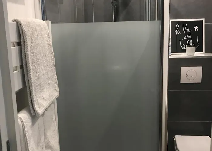 A 100 Metres De La Et De La Croisette Cannes